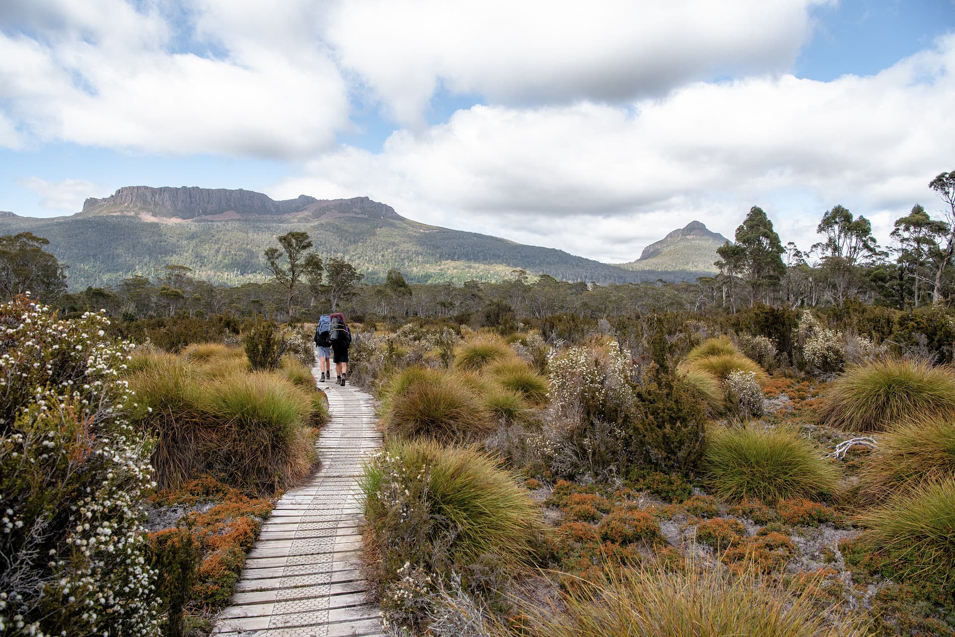 The Overland Track in Tasmania, Australia. The Most Beautiful Hikes in the World.