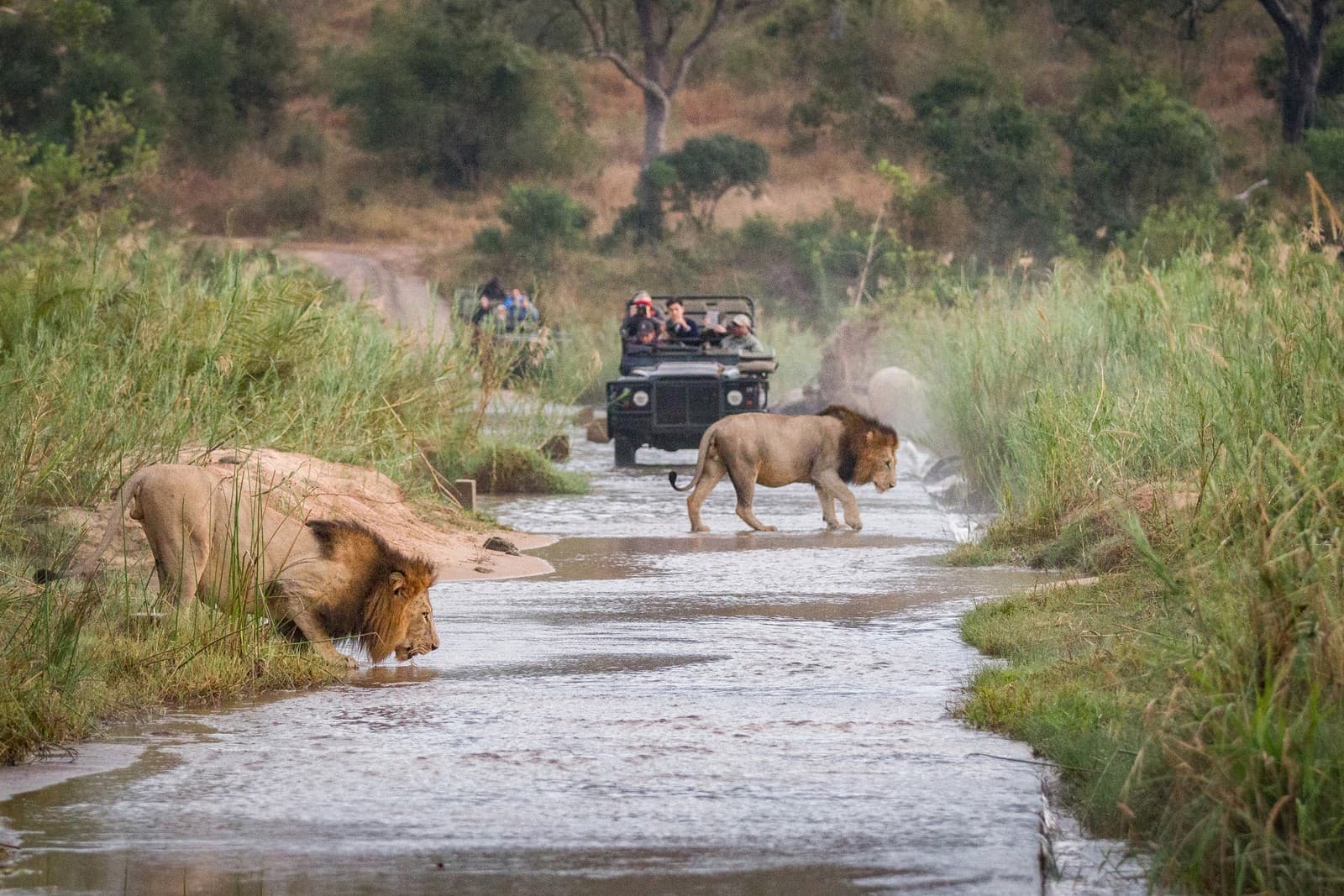 8 adrenaline-fueled travel experiences worth flying business class for