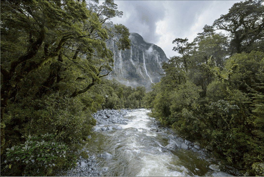 Valley at Milford Track, New Zealand. Photo by Galyna Andrushko. The Most Beautiful Hikes in the World.