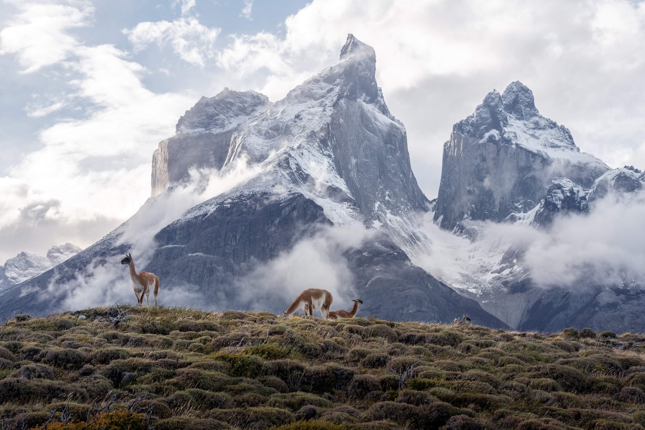 Torres del Paine, Torres de Paine, Chile. Photo by Andrew Svk. The Most Beautiful Hikes in the World.