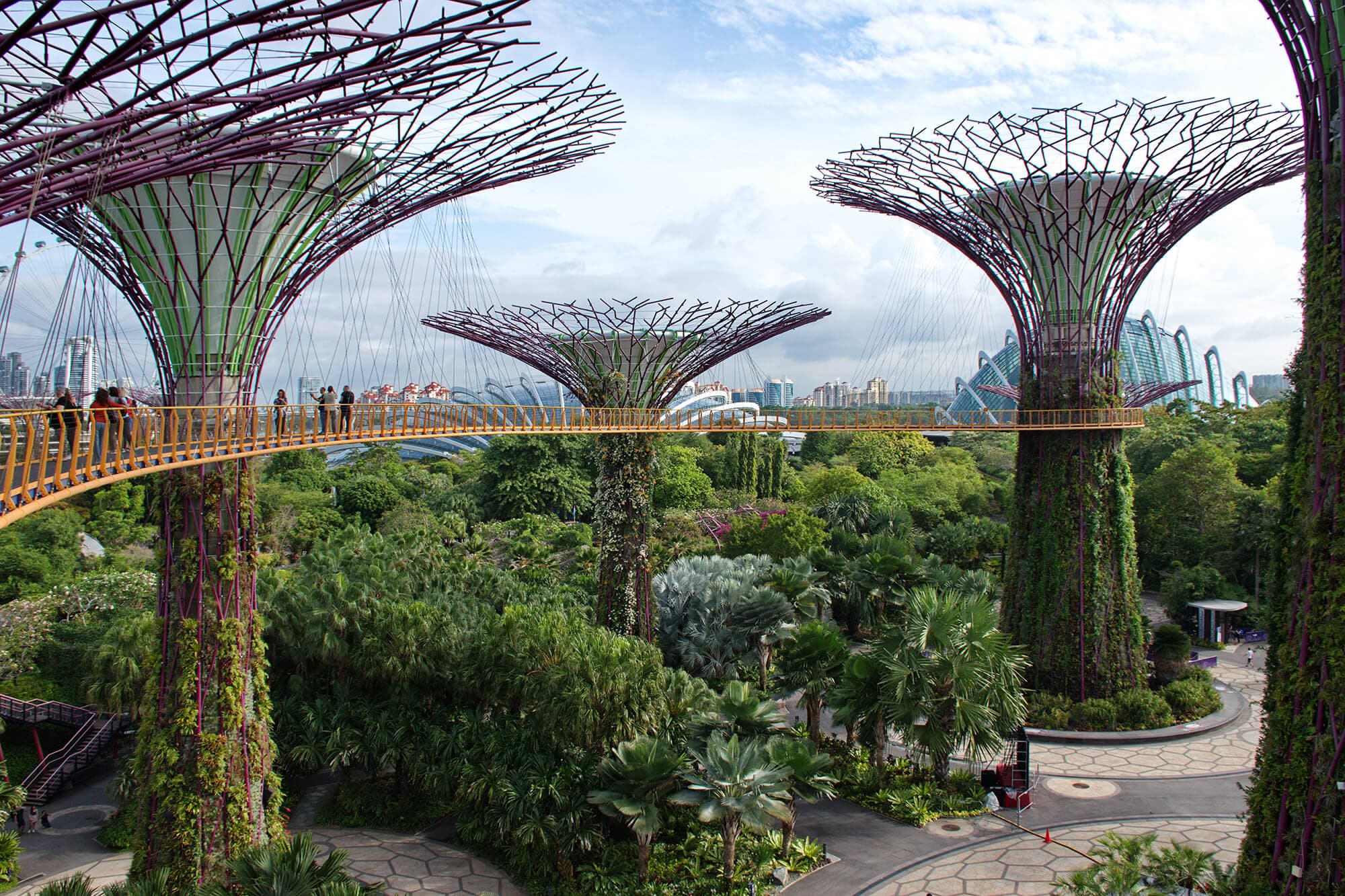Gardens by the Bay in Singapore, an architectural marvel nestled beside the Marina Bay Sands hotel