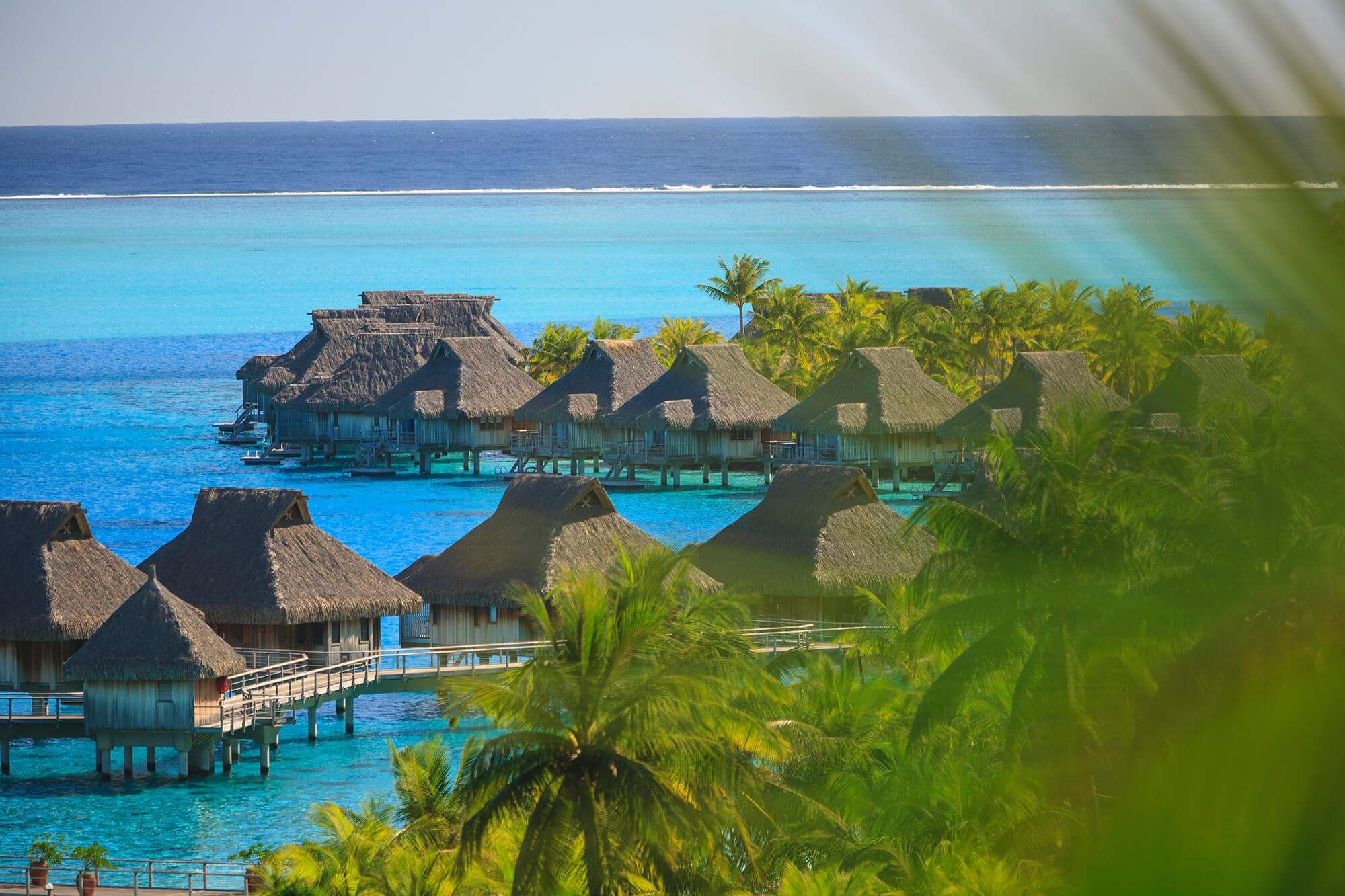 Palm trees overlooking a tropical resort in Bora Bora, French Polynesia