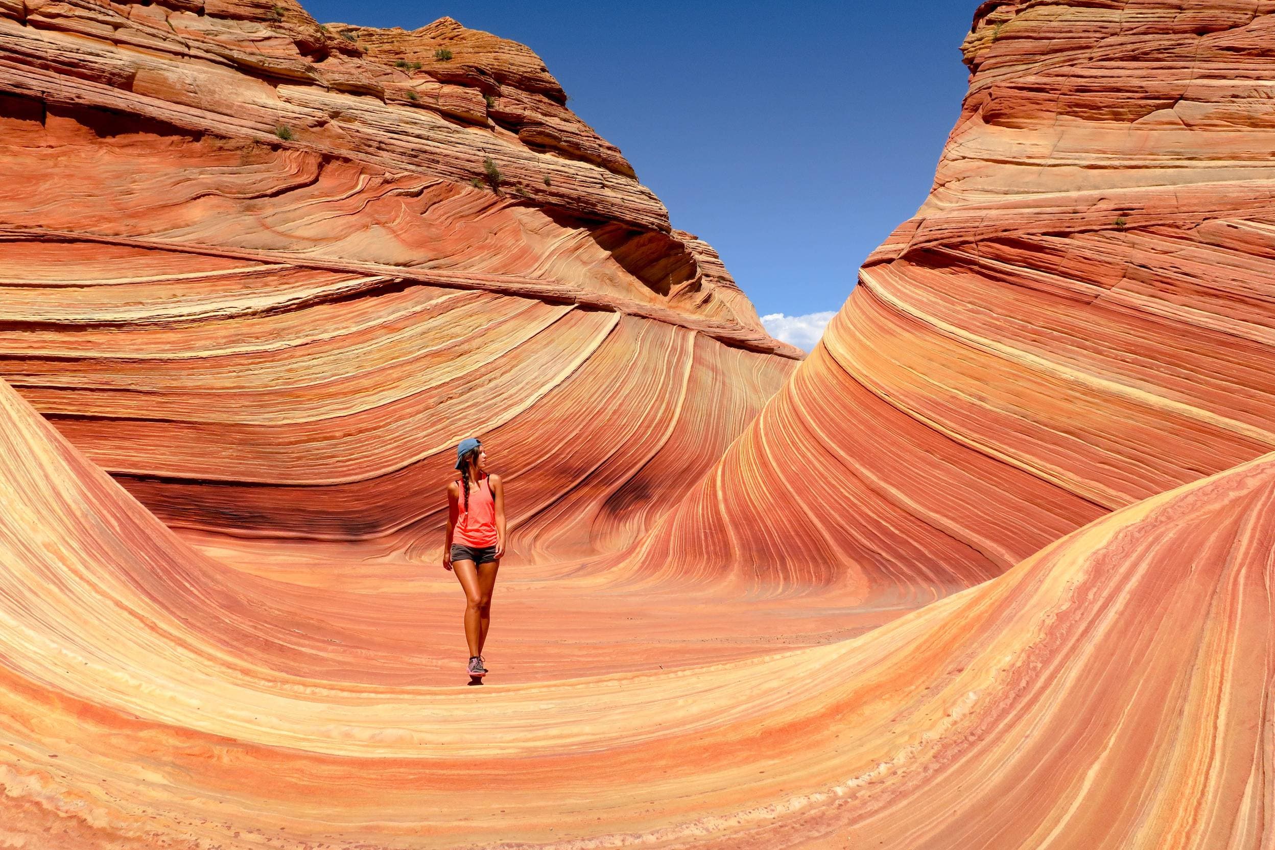 The Wave, Arizona, USA. The Most Surreal Places on Earth