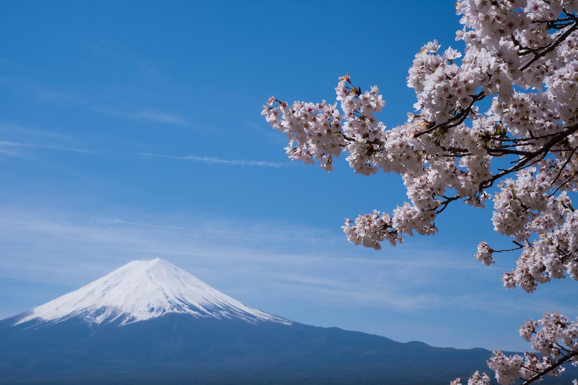 View of Mount Fuji from Lake Kawaguchi. Photo by Daniel Hehn.