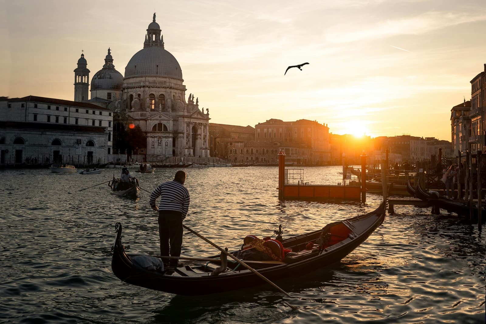 A gondolier rows through the calm waters of Venice at sunset, passing the Basilica di Santa Maria della Salute as a seagull glides overhead. Photo by Simone Mascellari.