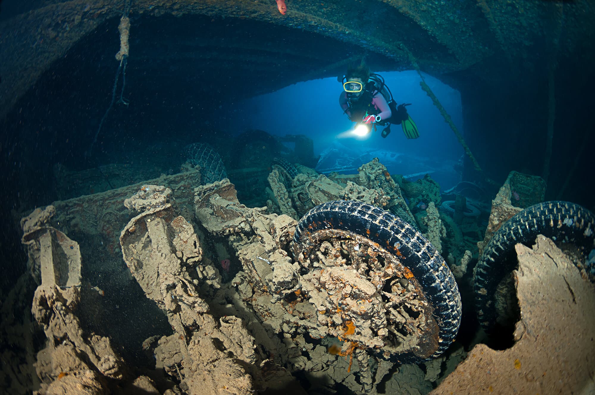 Exploring Thistlegorm Wreck's motorbikes, 40 km from Sharm El Sheikh