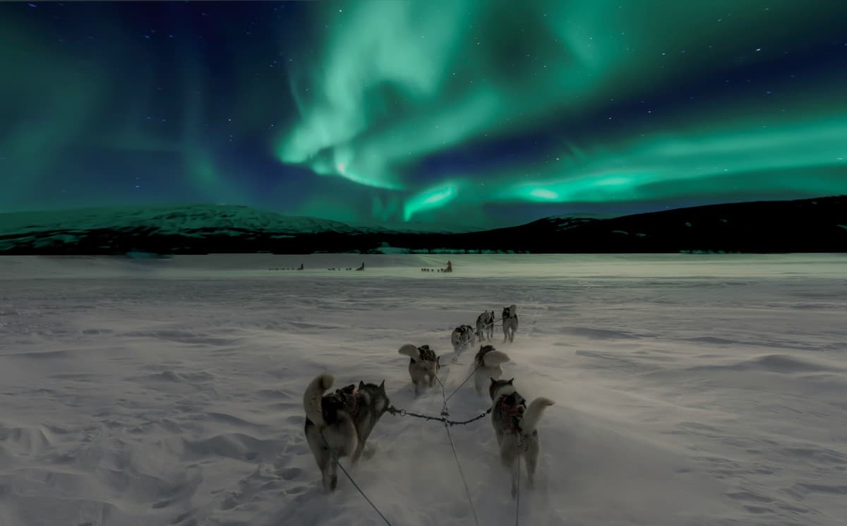 Husky dog ride under northern lights in Norway - unconventional solo travel - Flash Pack